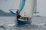 whyw17 sun gjmc 6174